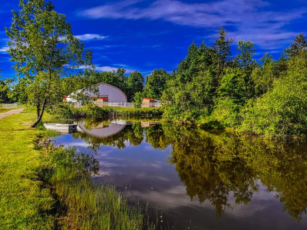 a pond with a barn and trees in the background
