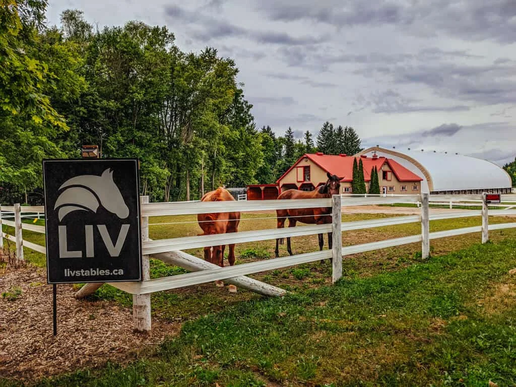 horses in a fenced area near a sign that says liv