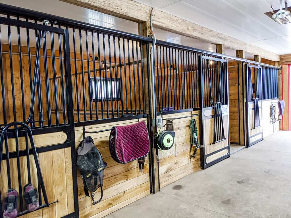 Horse Boarding Indoor Near Hamilton Ontario