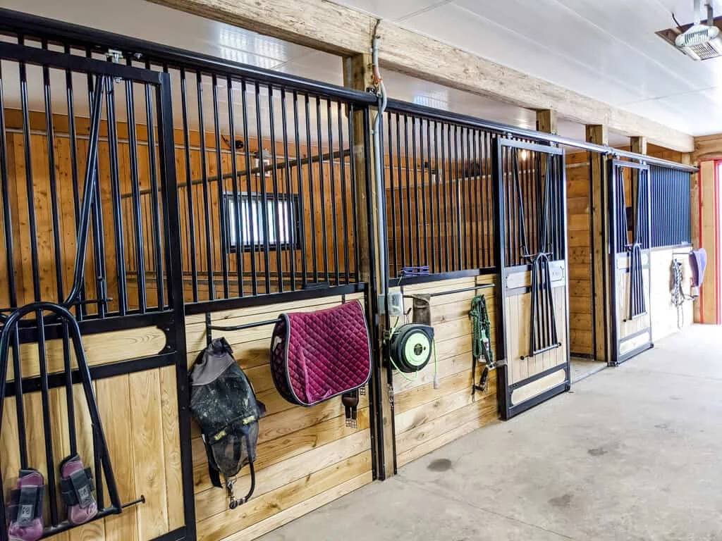 horse boarding indoor near hamilton ontario