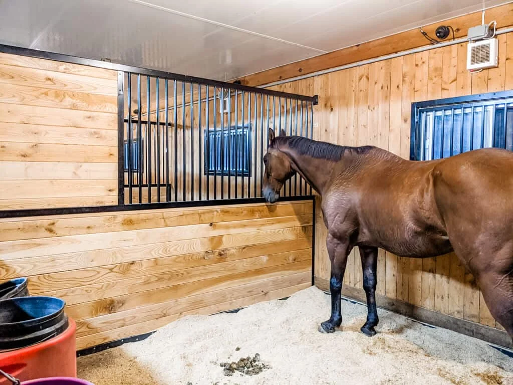 indoor horse boarding near hamilton