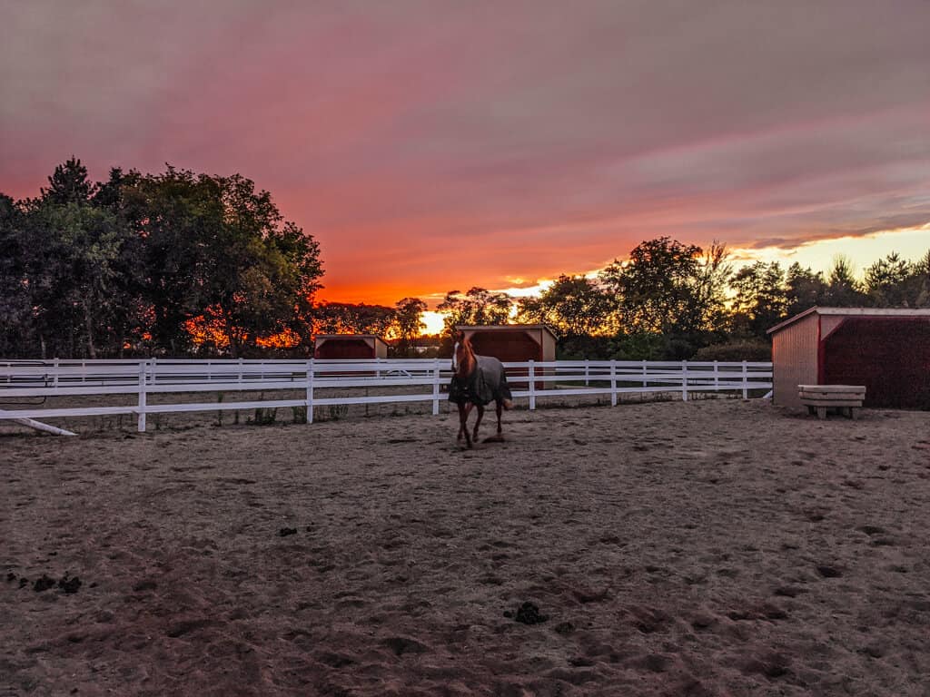 A Horse Is Standing In The Dirt At Sunset