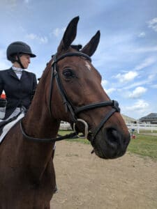 A Woman In A Riding Outfit Is Riding A Horse