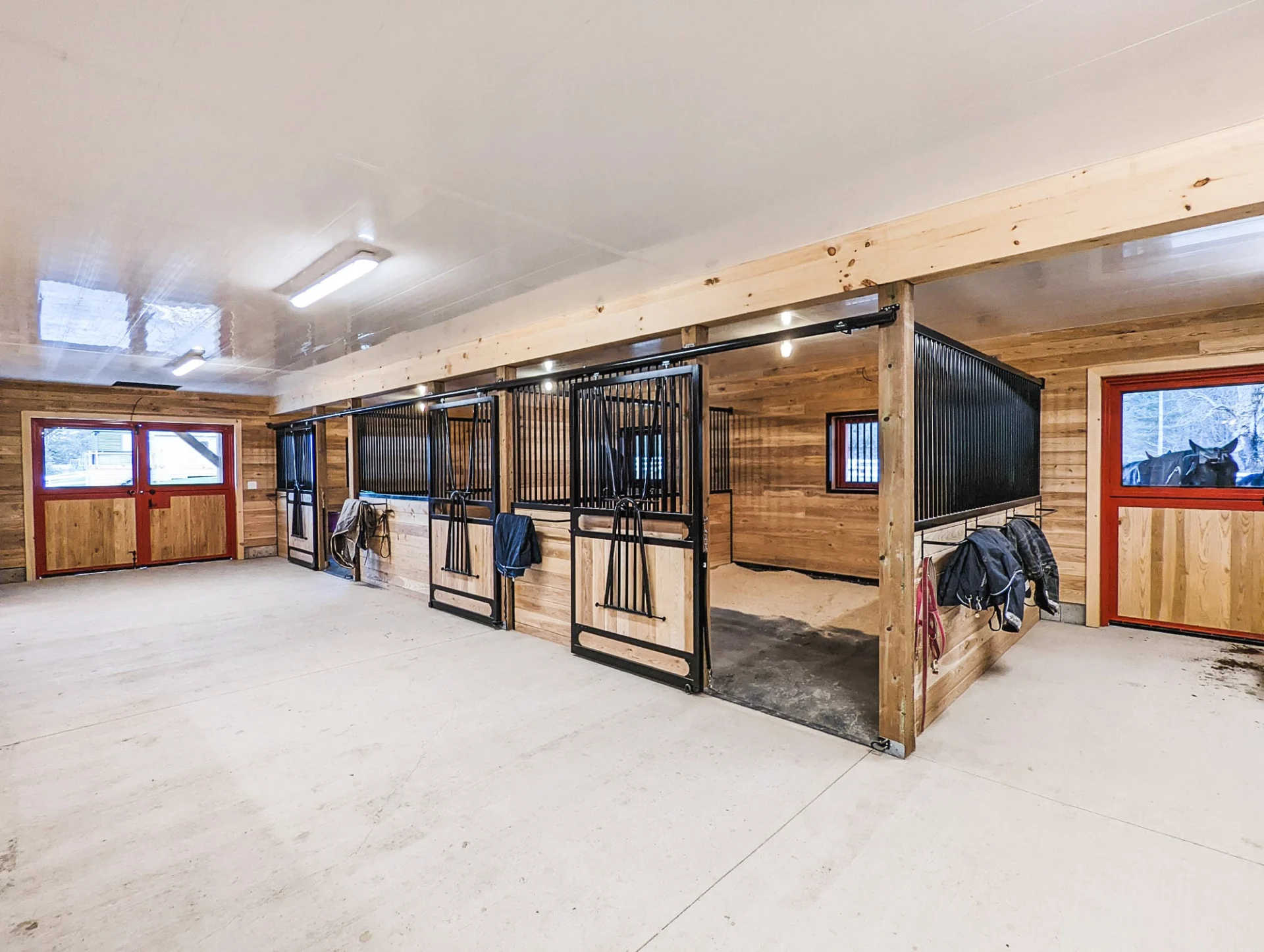New horse stalls from system equine