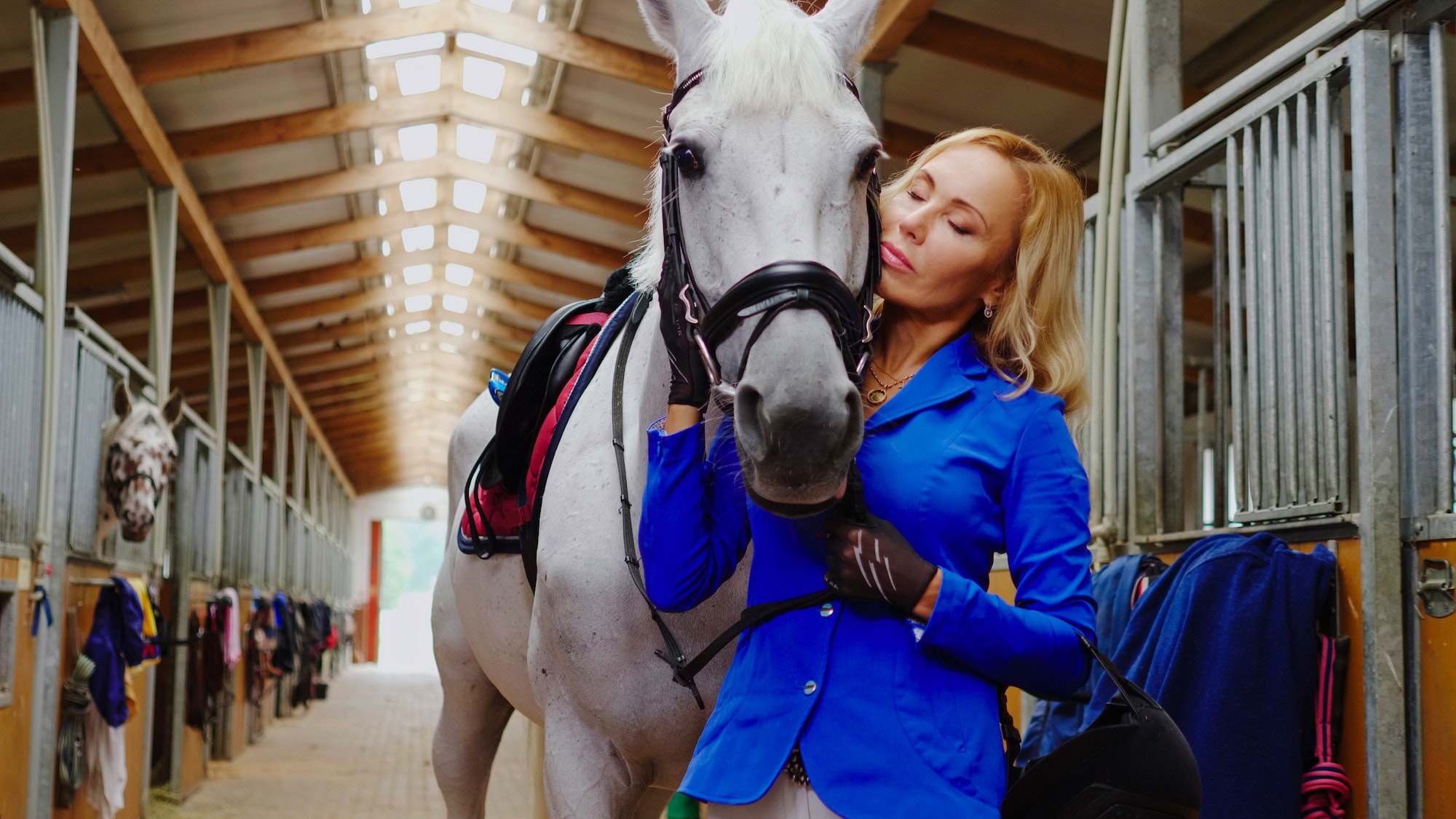 LIV Stables Exceptional Horse Boarding and Riding Facility