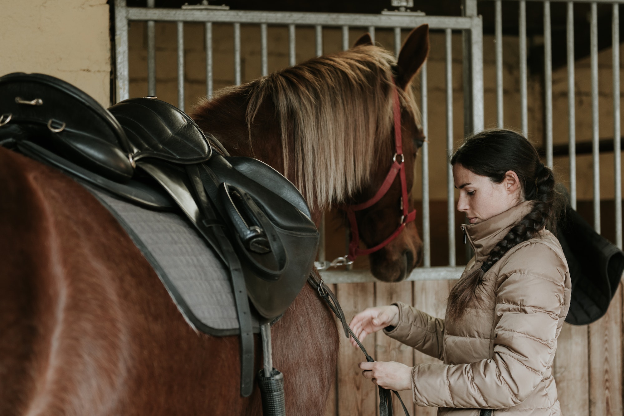 10 tips for cleaning your horse saddle LIV Stables & Equestrian Centre