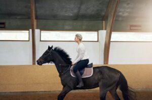 Profile Of A Woman On A Horse