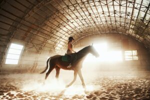 Majestic Image Of Horse Horse Silhouette With Rider On Sunset Background. The Girl Jockey On The