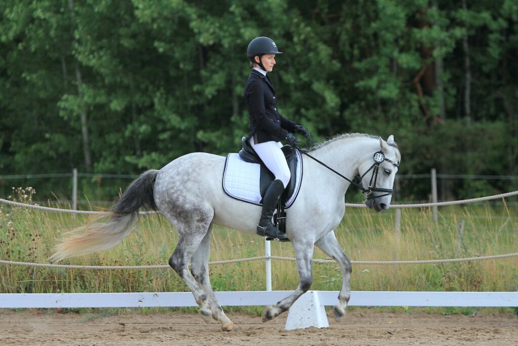 A rider in formal equestrian attire is on a grey horse performing dressage inside a fenced arena with trees in the background.