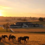 choosing equestrian facility