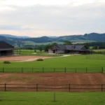 horse boarding vs private ownership