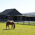 first time horse boarding