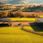 training while horse is boarded